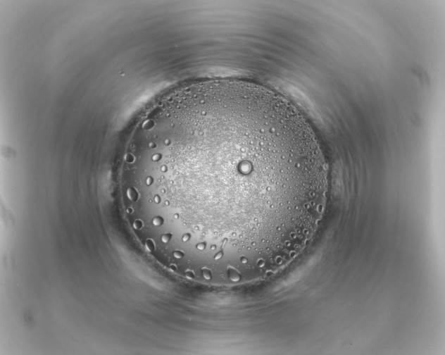 X0000091170351200708091208