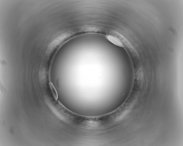X0000091170352200708091208