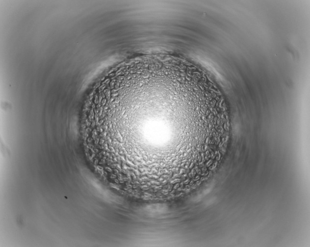 X0000091170353200708091208