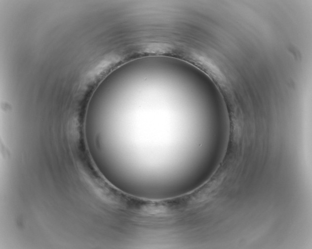 X0000091170354200708091208