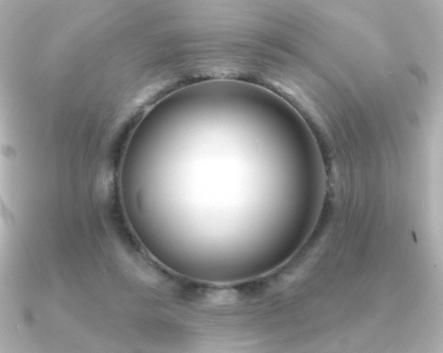 X0000091170355200708091208