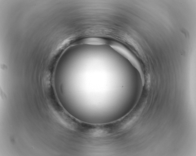 X0000091170356200708091208