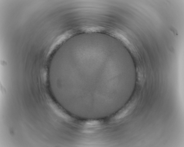 X0000091170357200708091208