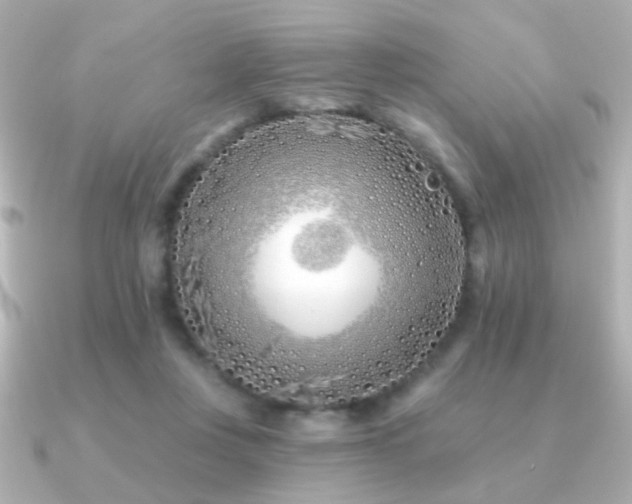 X0000091170359200708091208