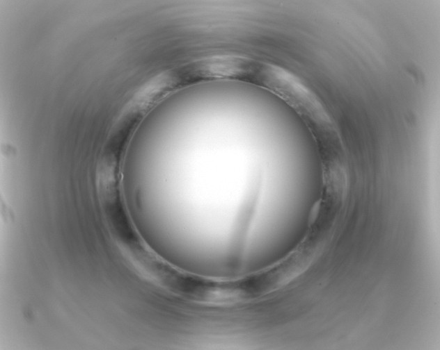 X0000091170360200708091208