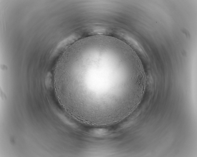 X0000091170361200708091208