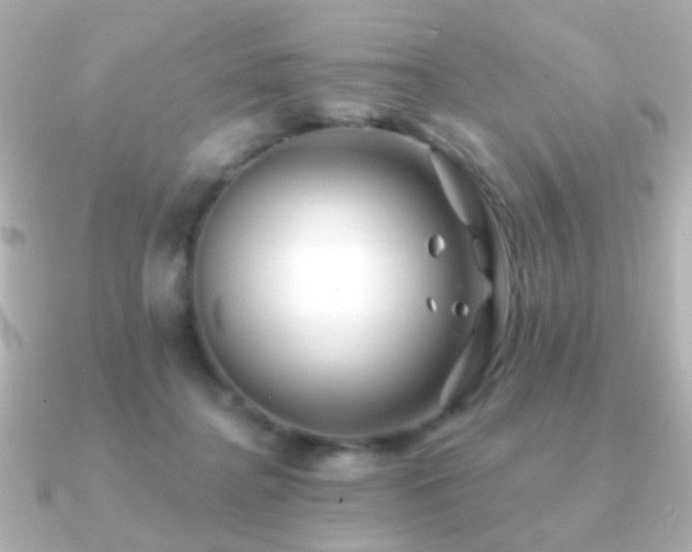 X0000091170364200708091208