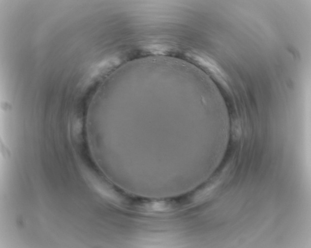 X0000091170365200708091208