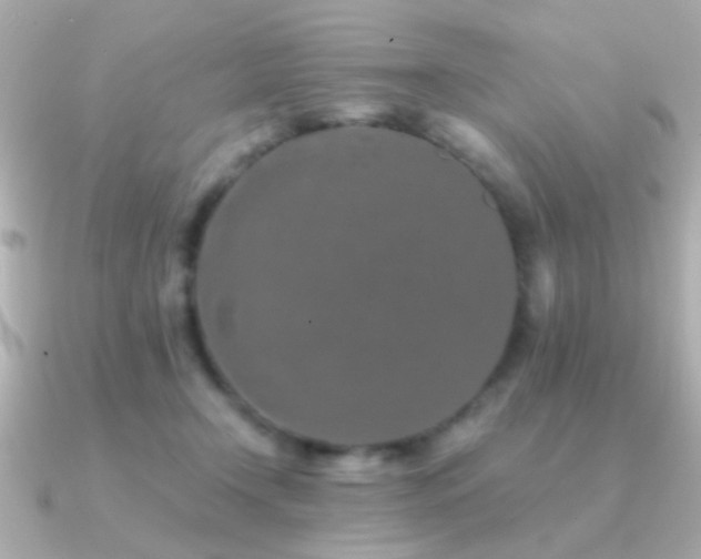 X0000091170366200708091208