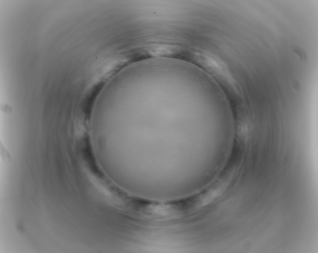 X0000091170367200708091208