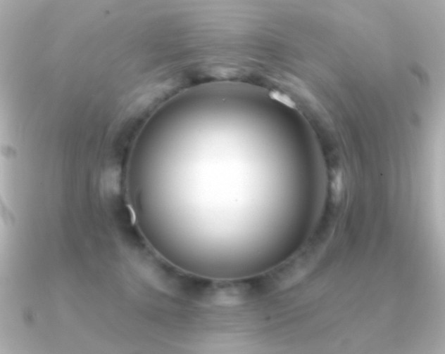 X0000091170368200708091208
