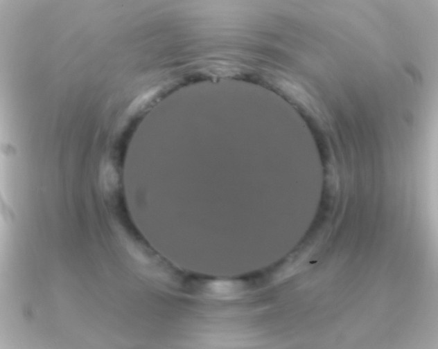 X0000091170371200708091208