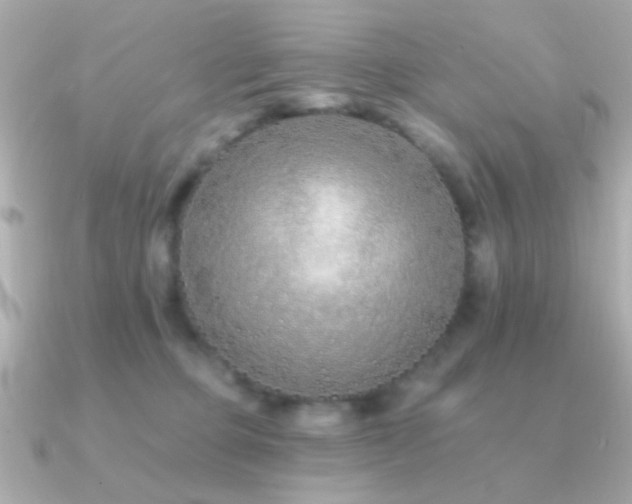 X0000091170373200708091208