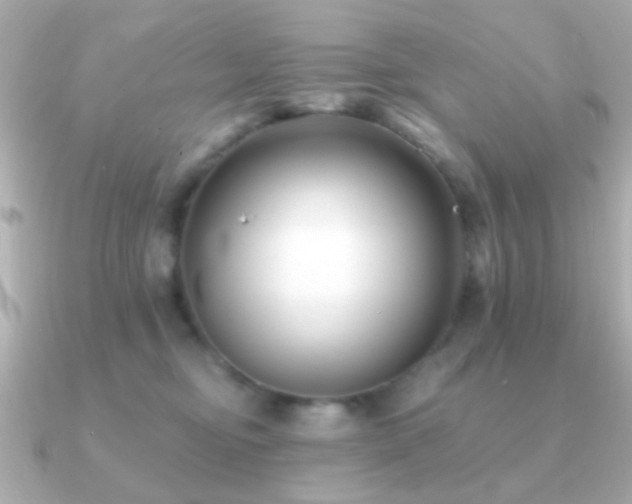 X0000091170374200708091208