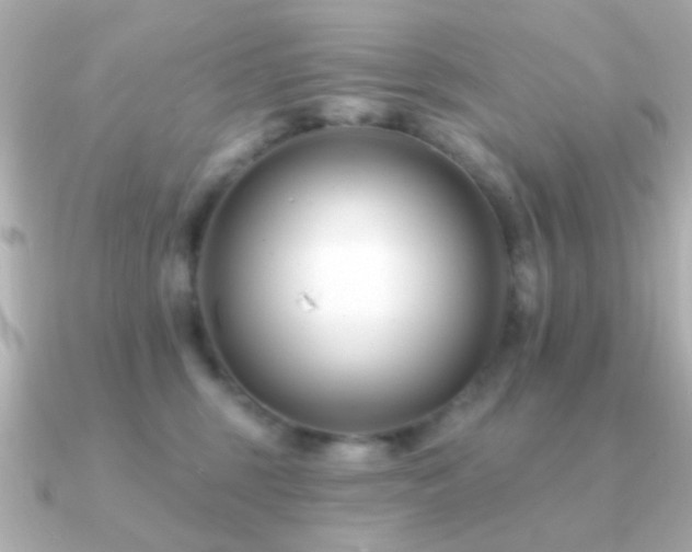 X0000091170375200708091208