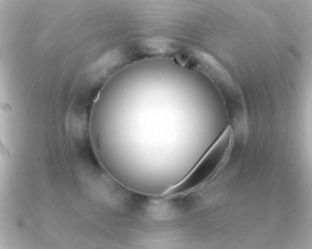 X0000091170376200708091208