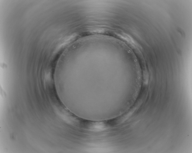 X0000091170377200708091208