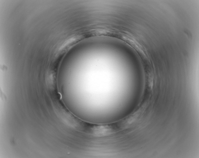 X0000091170378200708091208
