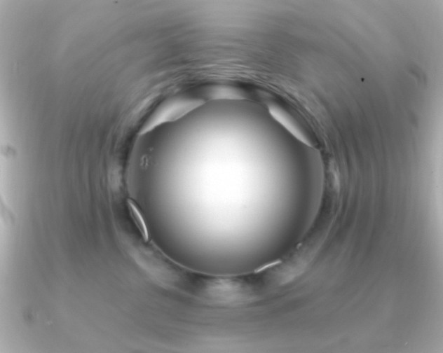 X0000091170380200708091208