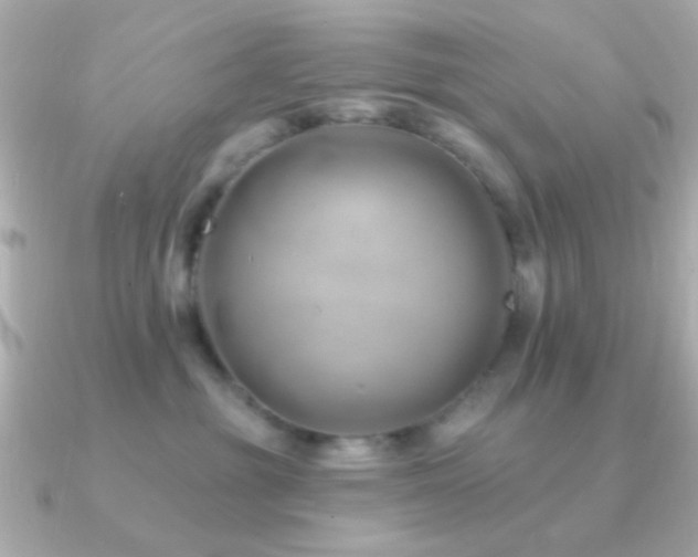 X0000091170381200708091209