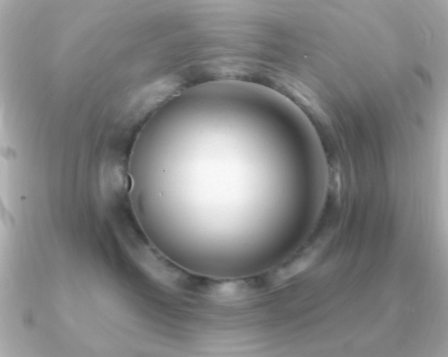 X0000091170382200708091209