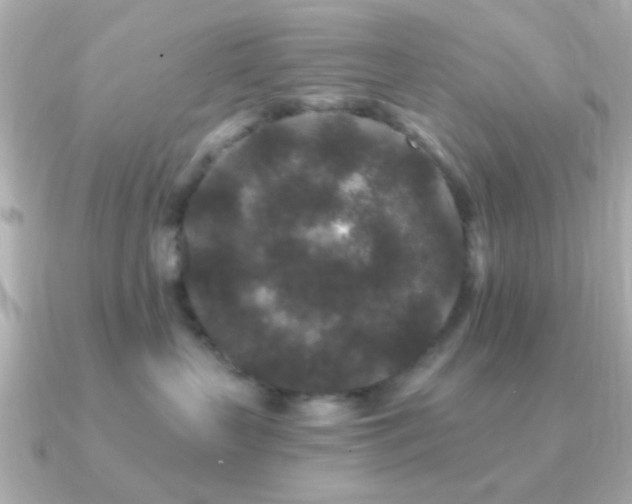 X0000091170383200708091209