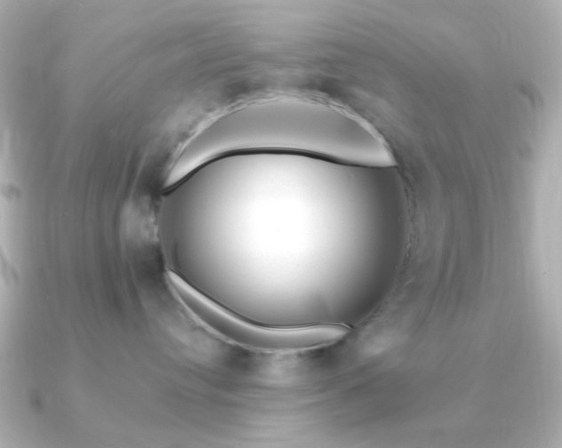 X0000091170384200708091209