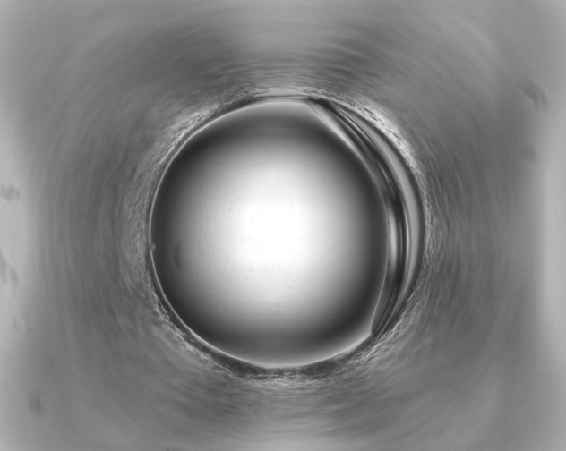 X0000091170385200708091208