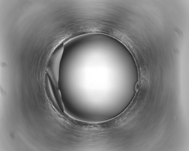 X0000091170386200708091208