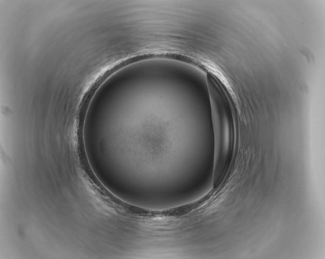 X0000091170387200708091208
