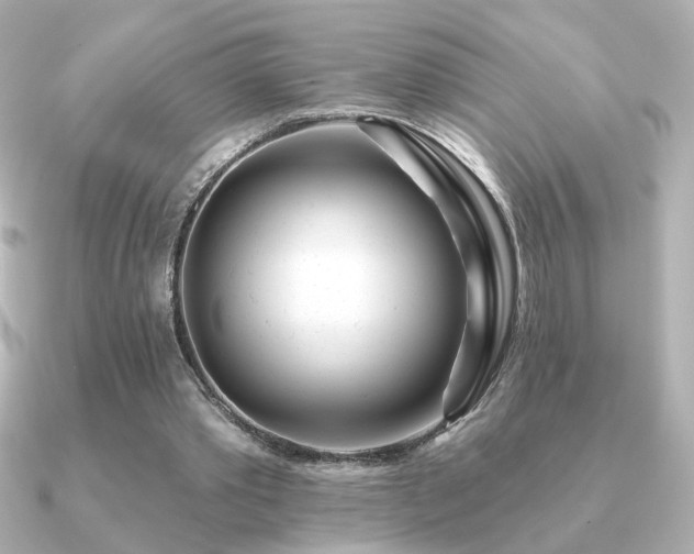 X0000091170389200708091208