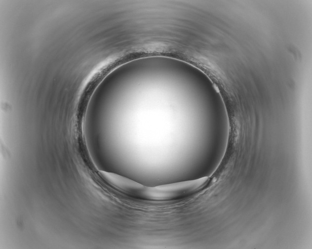 X0000091170392200708091208