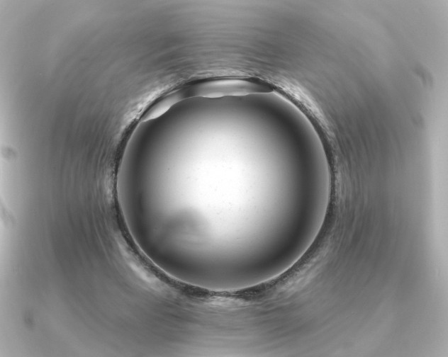 X0000091170393200708091208