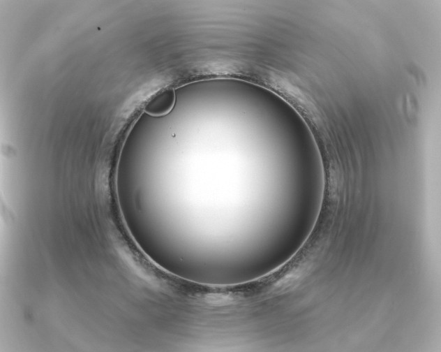X0000091170394200708091208