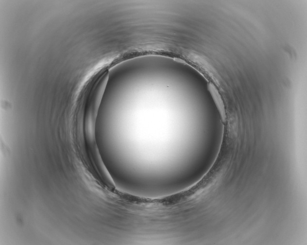 X0000091170395200708091208