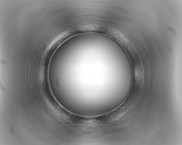 X0000091170396200708091208
