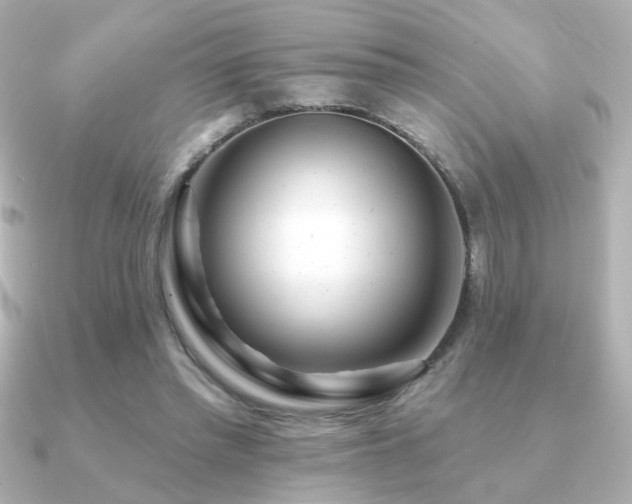X0000091170397200708091208