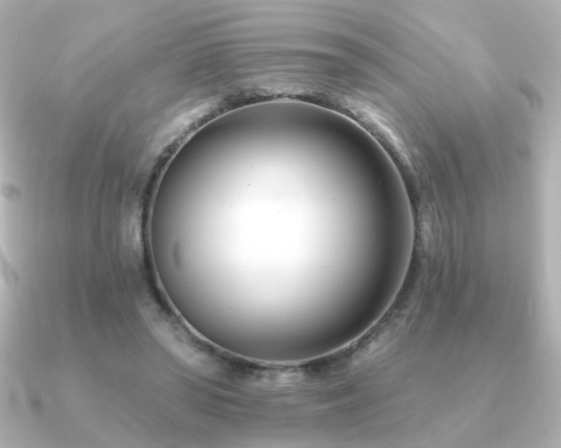 X0000091170398200708091208