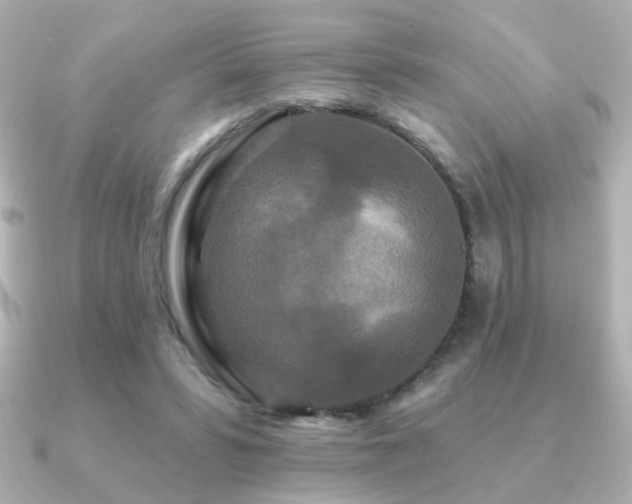 X0000091170399200708091208
