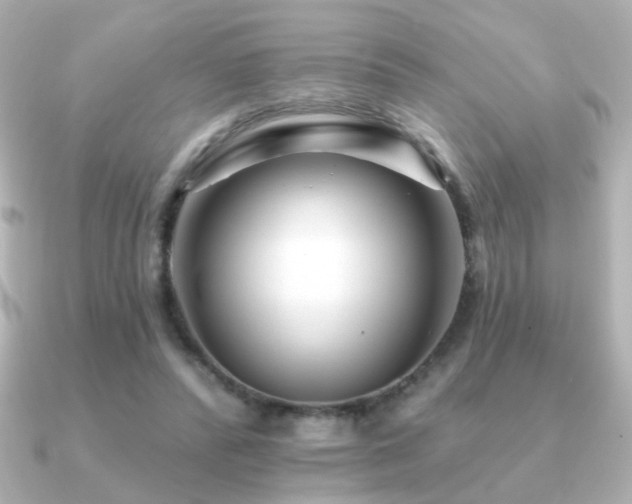 X0000091170400200708091208