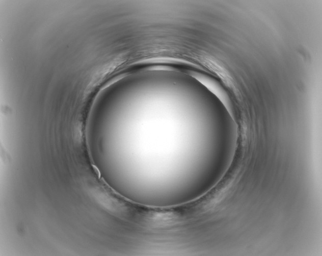X0000091170401200708091208
