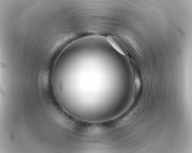 X0000091170404200708091208