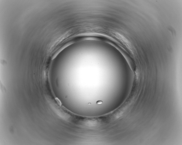 X0000091170405200708091208