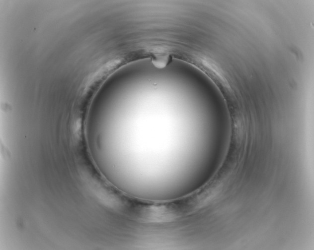 X0000091170406200708091208