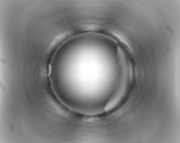 X0000091170407200708091208