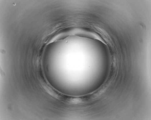 X0000091170409200708091208