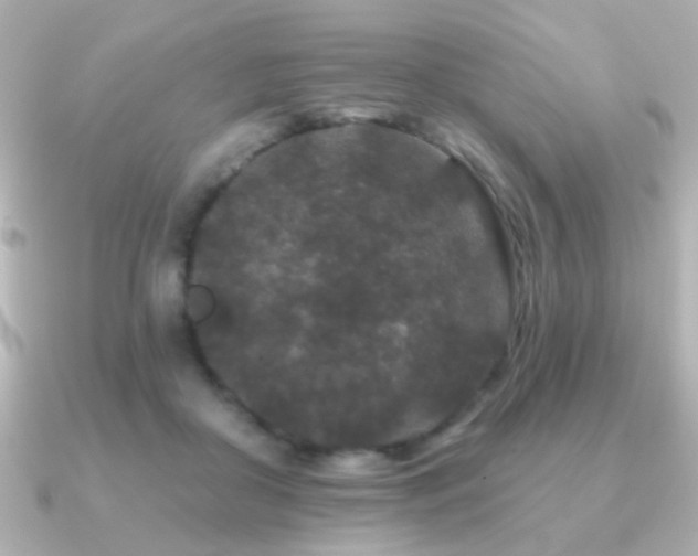 X0000091170410200708091208