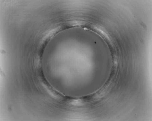 X0000091170411200708091208