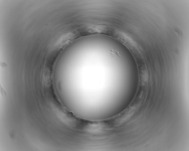 X0000091170414200708091208