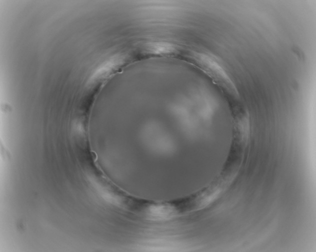 X0000091170415200708091208